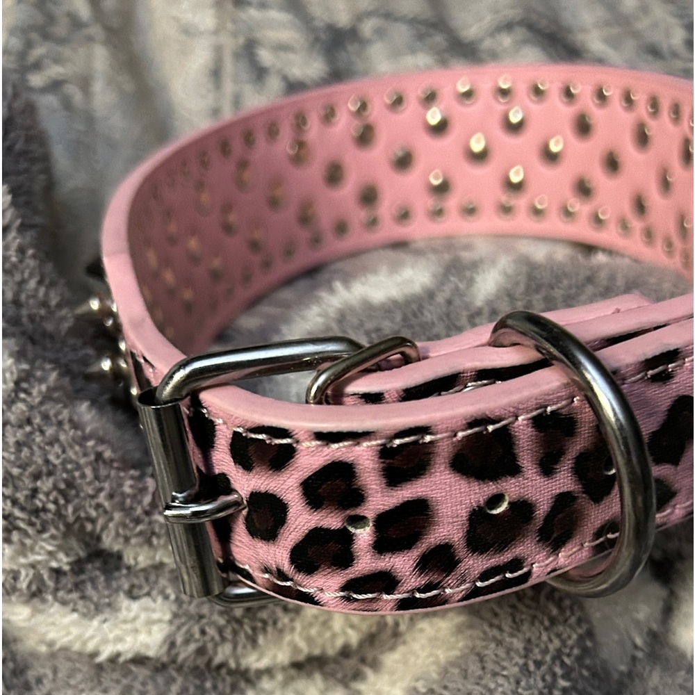 Big Girls Leopard Spike Dog Collar - Picture 3 of 4